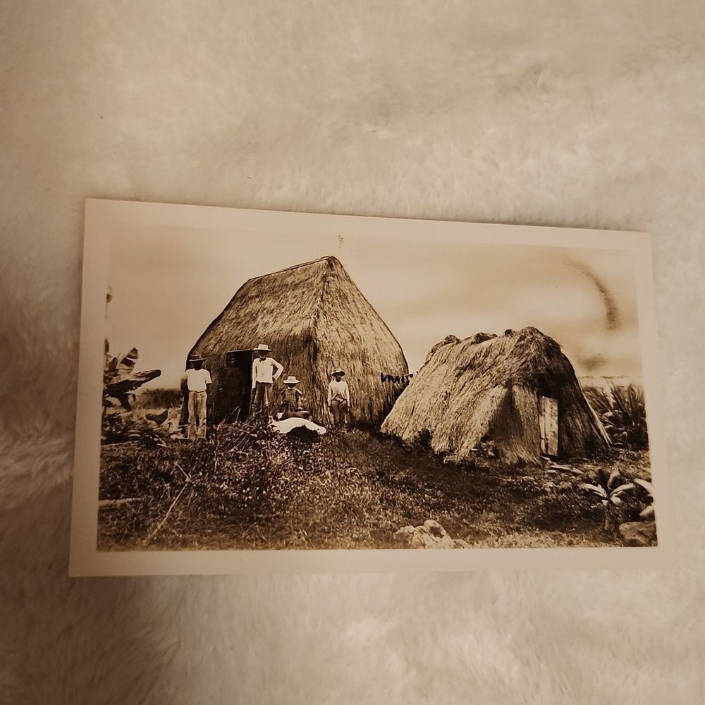 Vintage Hawaiian Grass Hale House  Photograph